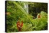 Lovely Rainbow Falls in Wailuku State Park on the edge of Hilo, Hawaii-Jerry Ginsberg-Stretched Canvas