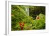 Lovely Rainbow Falls in Wailuku State Park on the edge of Hilo, Hawaii-Jerry Ginsberg-Framed Photographic Print