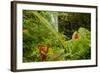 Lovely Rainbow Falls in Wailuku State Park on the edge of Hilo, Hawaii-Jerry Ginsberg-Framed Photographic Print