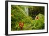 Lovely Rainbow Falls in Wailuku State Park on the edge of Hilo, Hawaii-Jerry Ginsberg-Framed Photographic Print