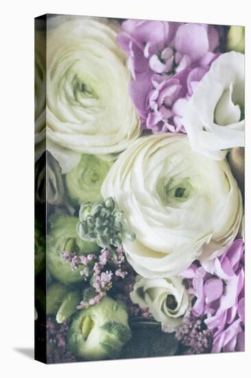 Lovely Ranunculus-Unknown Uplusmestudio-Stretched Canvas