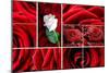 Lovely Roses Mosaic-duallogic-Mounted Art Print