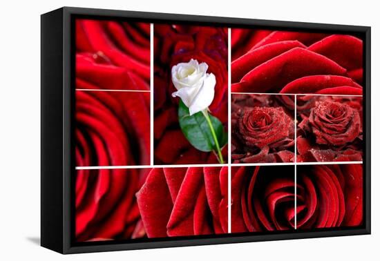 Lovely Roses Mosaic-duallogic-Framed Stretched Canvas