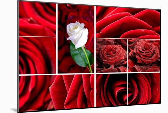 Lovely Roses Mosaic-duallogic-Mounted Premium Giclee Print