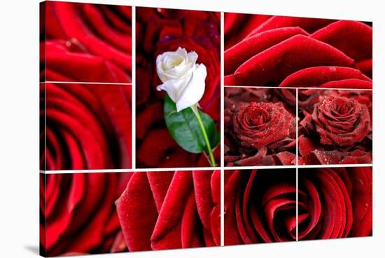 Lovely Roses Mosaic-duallogic-Stretched Canvas