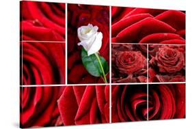 Lovely Roses Mosaic-duallogic-Stretched Canvas