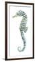 Lovely Seahorse-Sandra Jacobs-Framed Giclee Print