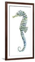 Lovely Seahorse-Sandra Jacobs-Framed Giclee Print