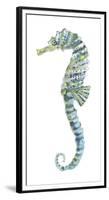 Lovely Seahorse-Sandra Jacobs-Framed Giclee Print