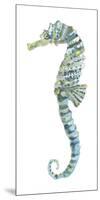 Lovely Seahorse-Sandra Jacobs-Mounted Giclee Print