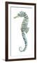 Lovely Seahorse-Sandra Jacobs-Framed Giclee Print