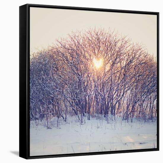 Lovely Sunrise-Kelly Poynter-Framed Stretched Canvas