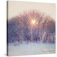 Lovely Sunrise-Kelly Poynter-Stretched Canvas