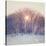 Lovely Sunrise-Kelly Poynter-Stretched Canvas