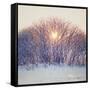 Lovely Sunrise-Kelly Poynter-Framed Stretched Canvas