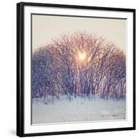 Lovely Sunrise-Kelly Poynter-Framed Photographic Print