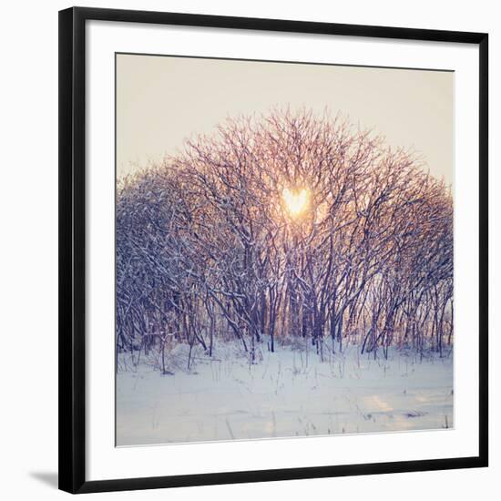 Lovely Sunrise-Kelly Poynter-Framed Photographic Print