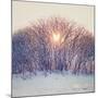 Lovely Sunrise-Kelly Poynter-Mounted Photographic Print