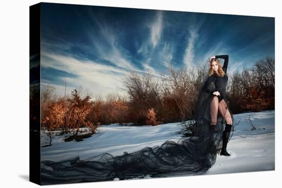 Lovely Young Lady Posing Dramatically with Long Black Veil in Winter Scenery. Gothic Blonde Woman-iancucristi-Stretched Canvas