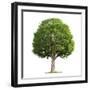 Black Frame