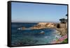 Lover's Point at Pacific Grove, California.-Wolterk-Framed Stretched Canvas