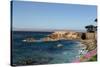 Lover's Point at Pacific Grove, California.-Wolterk-Stretched Canvas