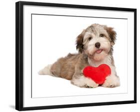 Lover Valentine Chocolate Havanese-mdorottya-Framed Premium Photographic Print