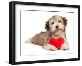 Lover Valentine Chocolate Havanese-mdorottya-Framed Photographic Print