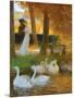 Lovers and Swans-Gaston Latouche-Mounted Giclee Print