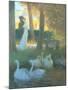 Lovers and Swans-Gaston Latouche-Mounted Giclee Print
