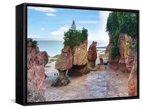 Lovers Arch and Bear Rock Sea Stacks, Hopewell Rocks Bay, Hopewell Cape, New Brunswick, Canada-Miva Stock-Framed Stretched Canvas