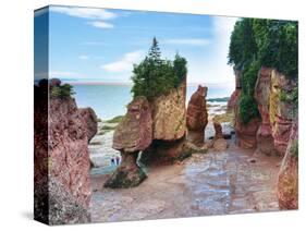 Lovers Arch and Bear Rock Sea Stacks, Hopewell Rocks Bay, Hopewell Cape, New Brunswick, Canada-Miva Stock-Stretched Canvas