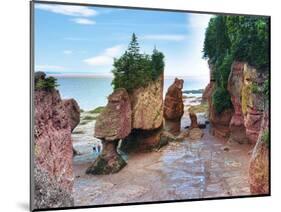 Lovers Arch and Bear Rock Sea Stacks, Hopewell Rocks Bay, Hopewell Cape, New Brunswick, Canada-Miva Stock-Mounted Photographic Print