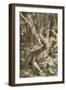 Lovers, C1527-Parmigianino-Framed Giclee Print