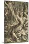 Lovers, C1527-Parmigianino-Mounted Giclee Print