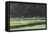 Lovers Cruise-Bruce Dumas-Framed Stretched Canvas