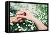 Lovers Holding Hands on Spring Flowers Field-Dirima-Framed Stretched Canvas