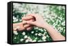 Lovers Holding Hands on Spring Flowers Field-Dirima-Framed Stretched Canvas