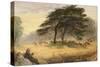 Lovers in Richmond Park (Windsor Park)-James Smetham-Stretched Canvas
