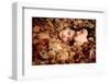 Lovers IV-null-Framed Premium Giclee Print