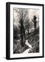 Lovers Lane, Fairlight, Hastings, Sussex-null-Framed Giclee Print