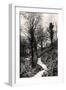 Lovers Lane, Fairlight, Hastings, Sussex-null-Framed Giclee Print