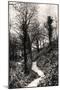 Lovers Lane, Fairlight, Hastings, Sussex-null-Mounted Giclee Print