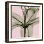 Lovers Lily-Albert Koetsier-Framed Photographic Print