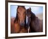 Lovers-Tony Stromberg-Framed Photographic Print