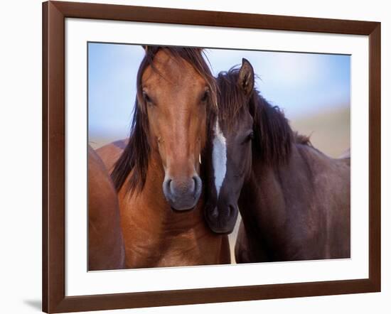 Lovers-Tony Stromberg-Framed Photographic Print