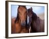 Lovers-Tony Stromberg-Framed Photographic Print