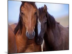 Lovers-Tony Stromberg-Mounted Photographic Print