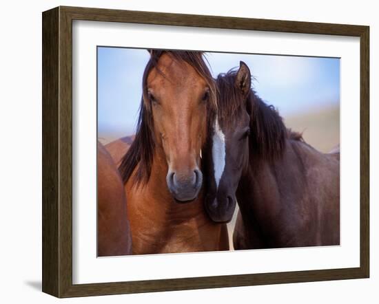 Lovers-Tony Stromberg-Framed Photographic Print