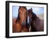 Lovers-Tony Stromberg-Framed Premium Photographic Print